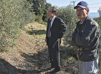 ミカン畑を視察する後藤組合長（左）