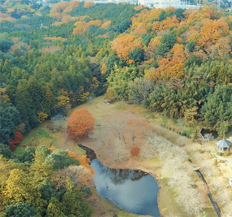 地上90mから森と水の公園を撮影（12月2日）