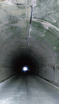 照明が設置される金時隧道