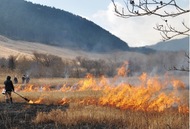 春を迎える準備、着々と