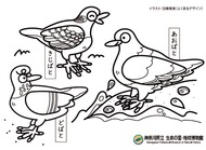 ２月７日まで臨時休館