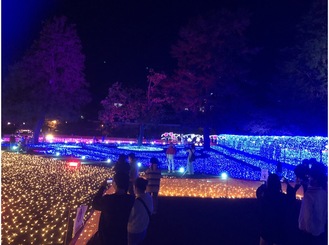 Visitors taking photos of colorful illumination on March 29th