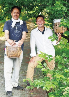 梅を収穫する山中さん（左）と秋澤さん