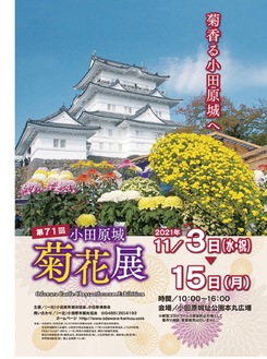 菊花展のポスター