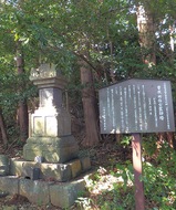 鎌倉殿と県西地域
