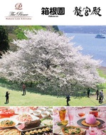 春の「一本桜」満喫プラン