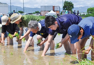 手作業で苗を植える森井選手（右から２番目）と参加者