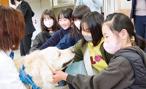 犬に優しく接すると児童も笑顔に