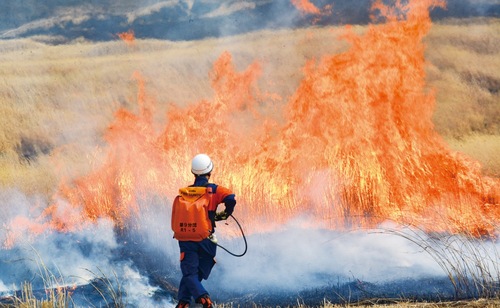 放水して不要な燃え広がりを防ぐ消防関係者