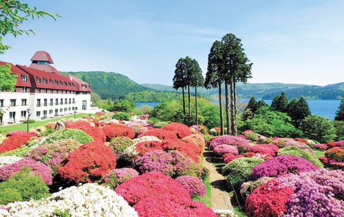 山のホテルのツツジ庭園（写真提供）
