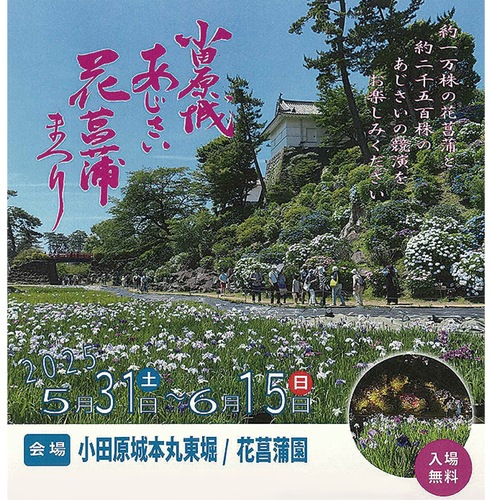 花々の競演が楽しめる