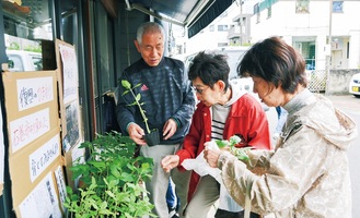 苗を配布する志村支部長（左）