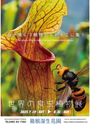 イベントのチラシ