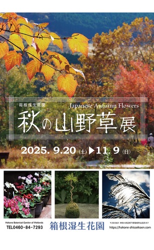 イベントチラシ