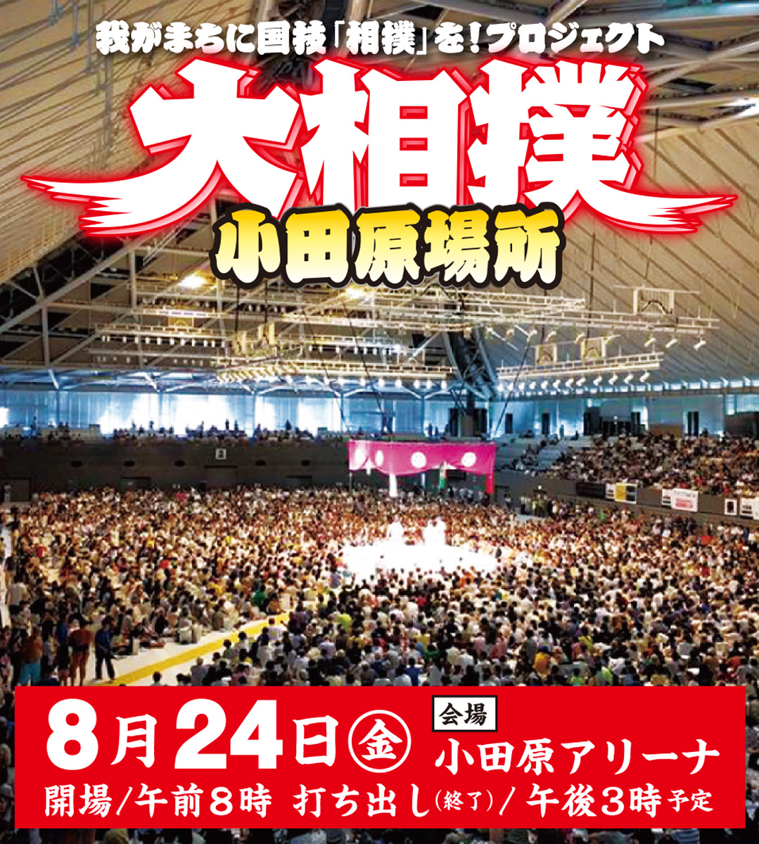 大相撲藤沢場所 4月13日 Sマス席(4人) うずもれ 正