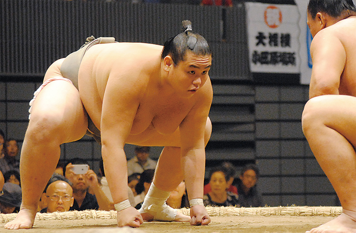 地元凱旋喜ぶ観客 ご当地力士の桜富士 | 小田原・箱根・湯河原・真鶴