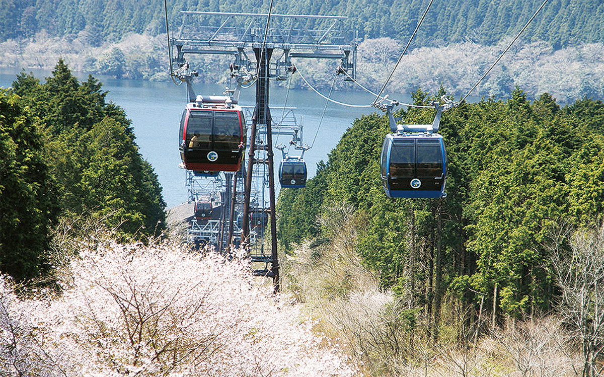 箱根の春を満喫