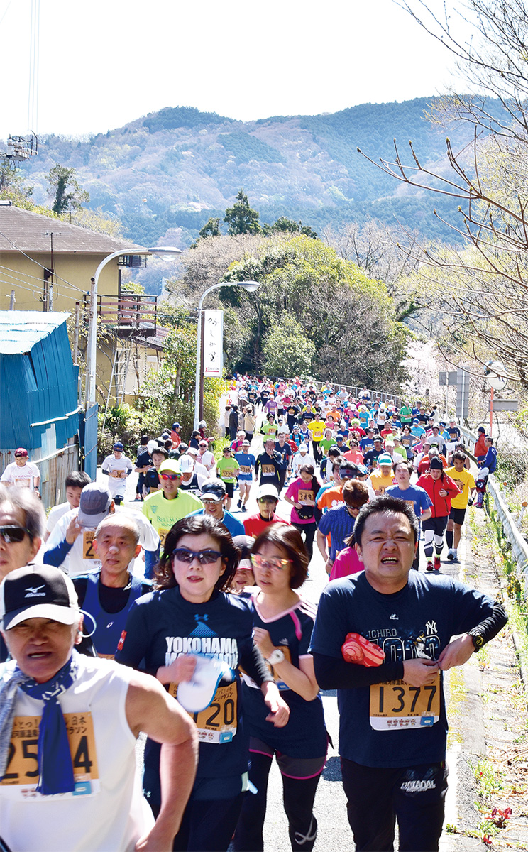 樽木さんに続く１２８１人