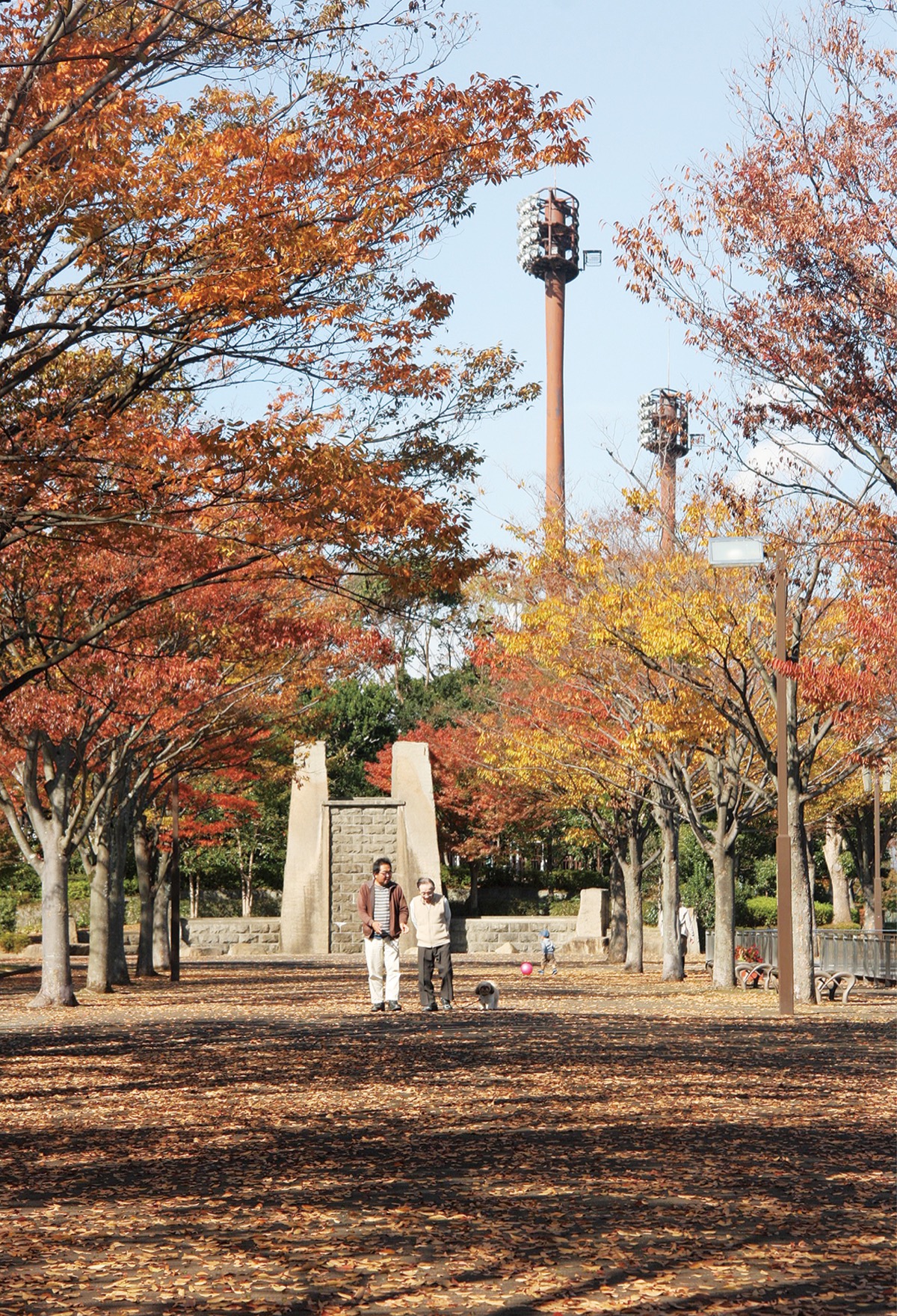 並木道に紅葉色付く