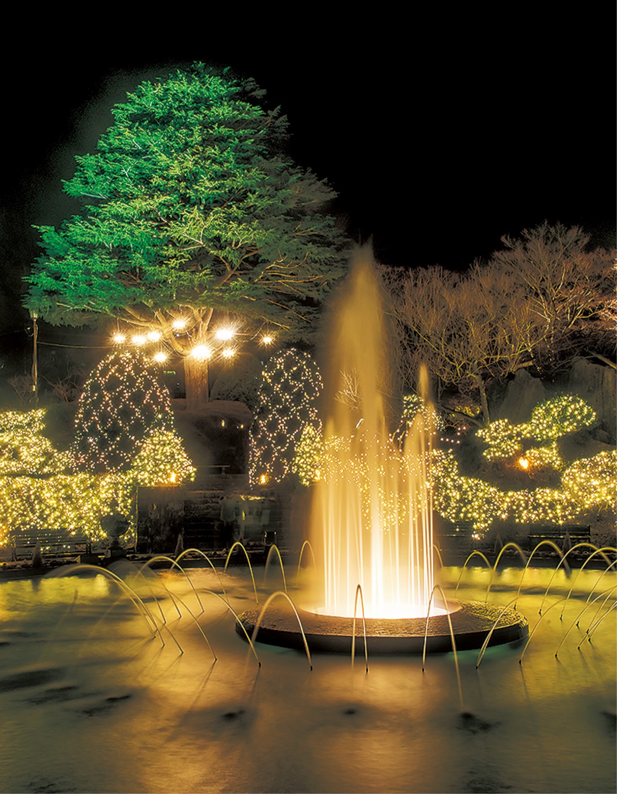 光と音で幻想的な空間に