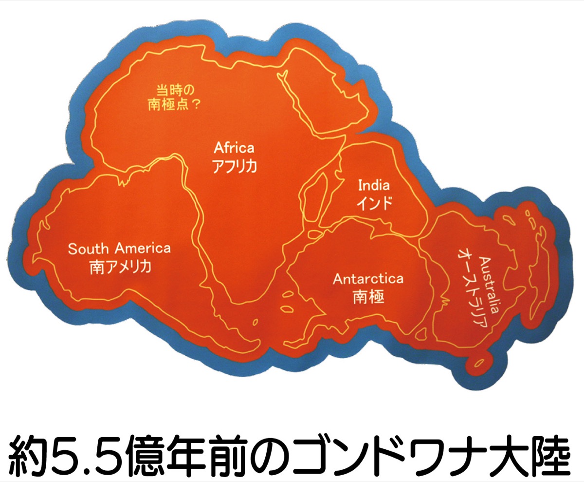 大昔に存在した巨大大陸 ゴンドワナ の実態に迫る 生命の星 地球博物館 小田原 箱根 湯河原 真鶴 タウンニュース