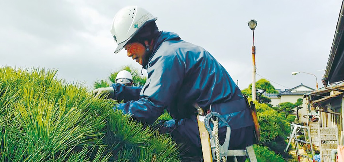 仕事 作業をお手伝い 小田原市シルバー人材センター 小田原市シルバー人材センター 小田原 箱根 湯河原 真鶴 タウンニュース