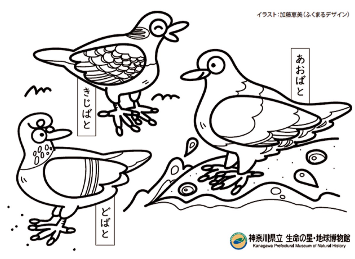 ダウンロードできる塗り絵（同館ＨＰから転載）