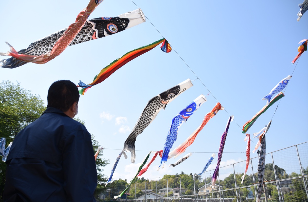 Carp streamers comfortably swim in the sky in Odawara