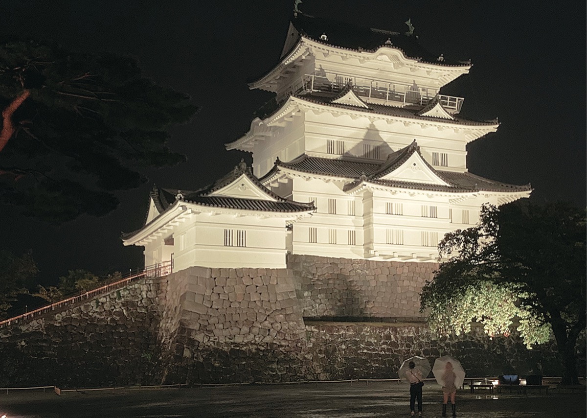 思い受け天守閣 黄金に (写真1)