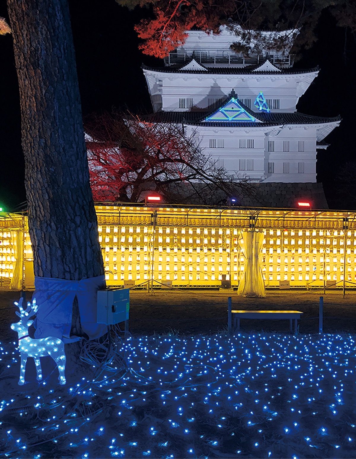 天守閣に冬の灯火 児童らのちょうちん展示 小田原 箱根 湯河原 真鶴 タウンニュース