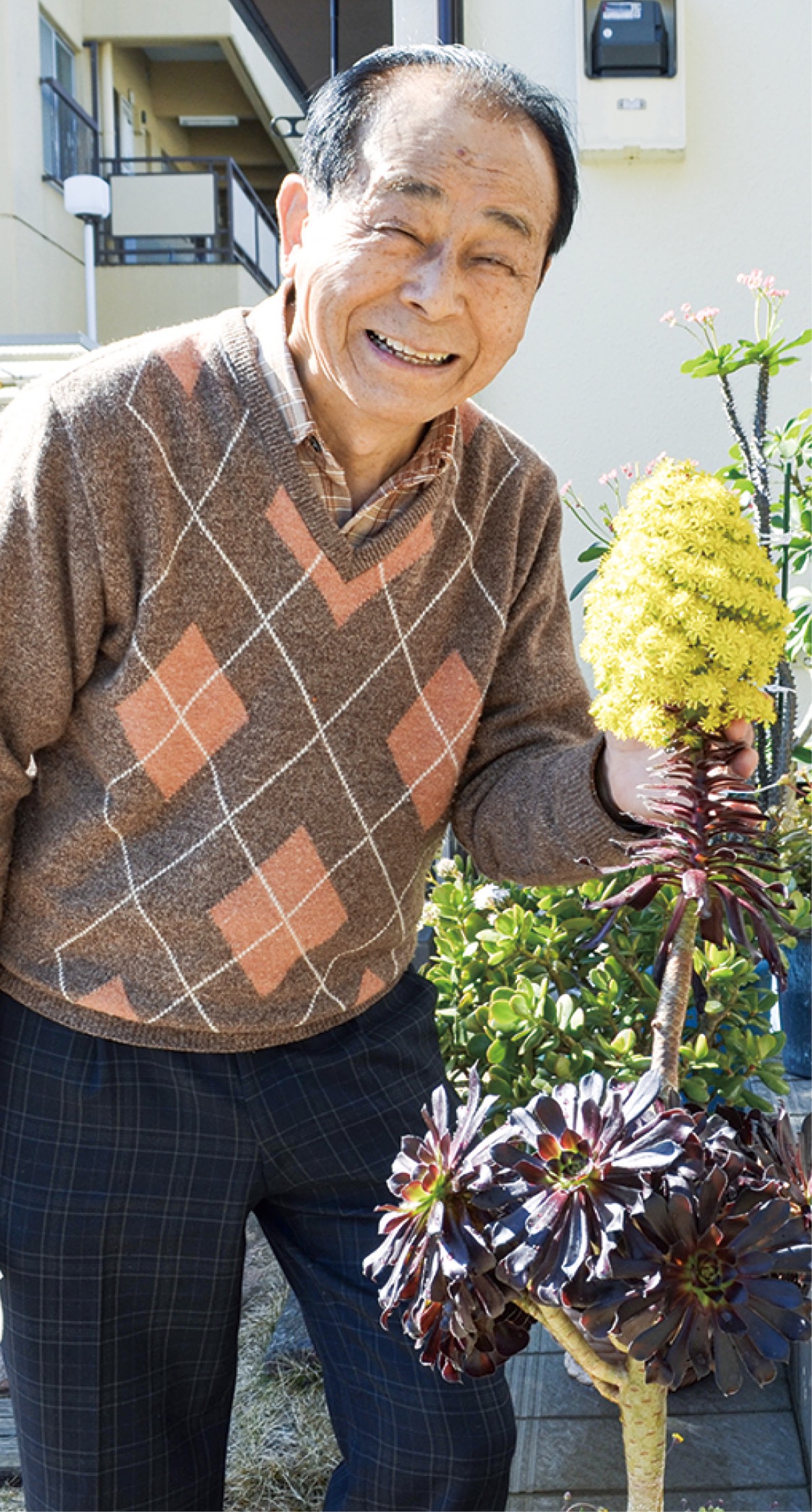 クロホウシが開花 小田原市久野 須藤さん宅 小田原 箱根 湯河原 真鶴 タウンニュース