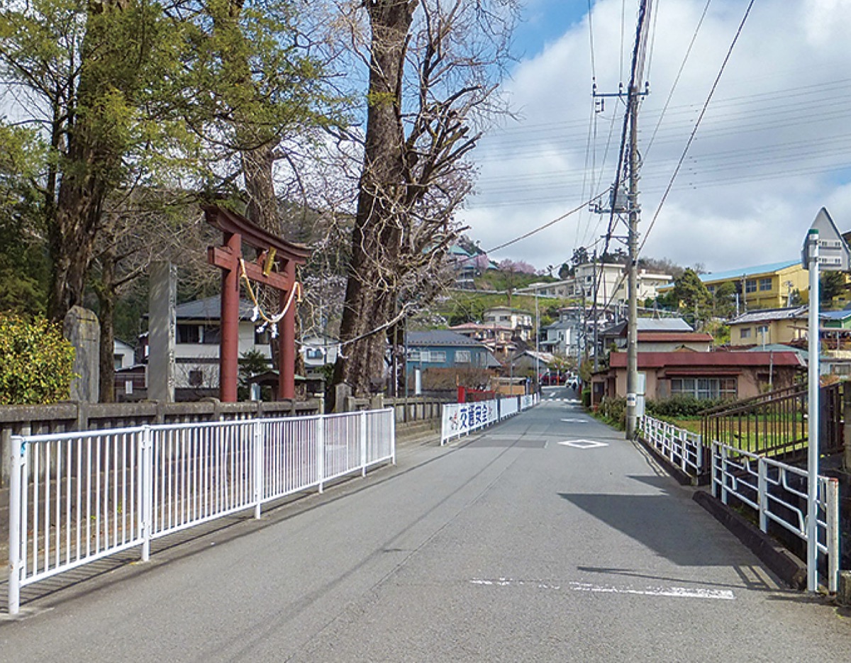 鎌倉殿と県西地域