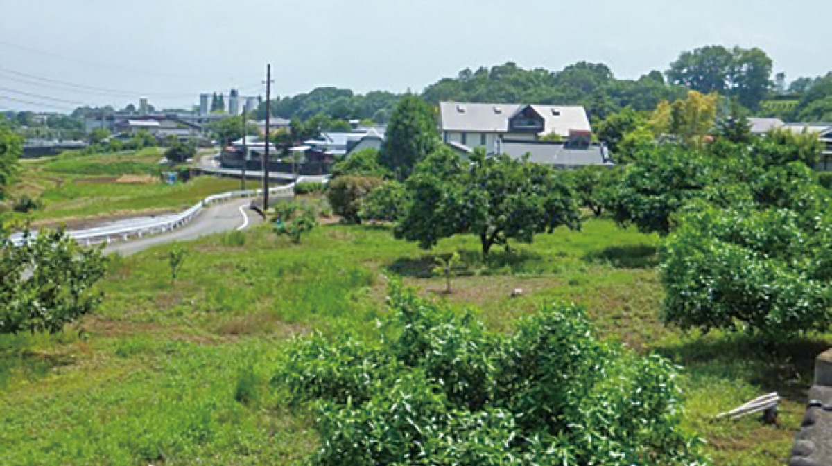 鎌倉殿と県西地域