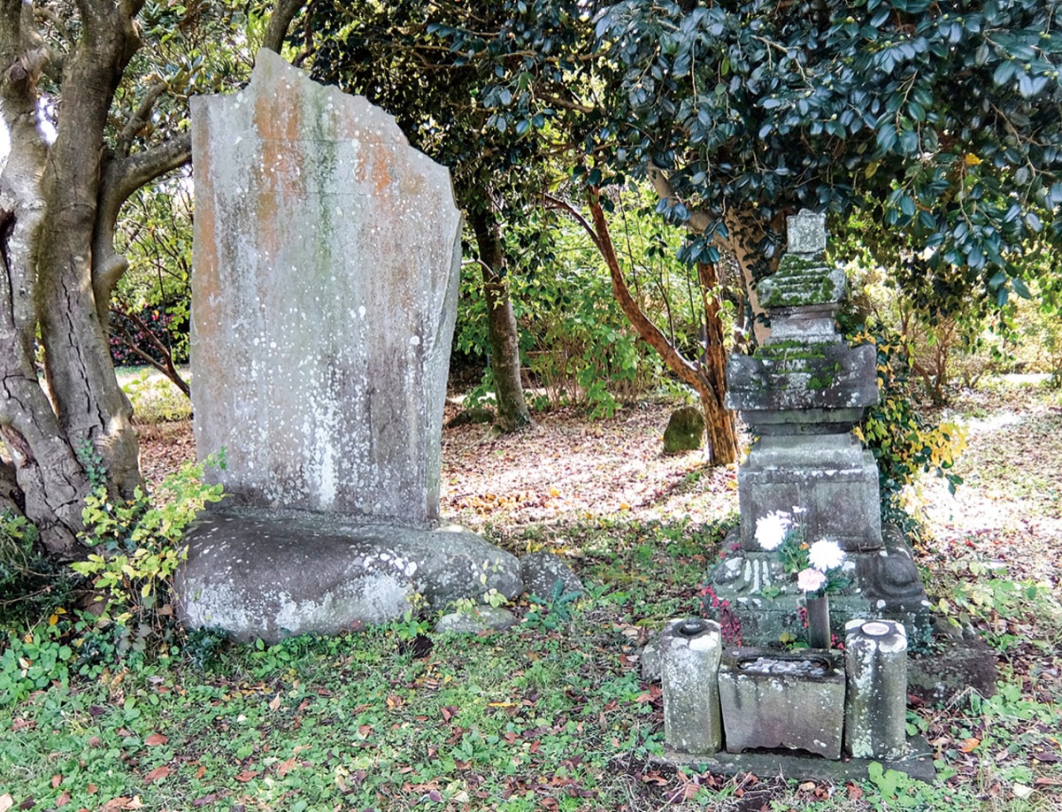鎌倉殿と県西地域