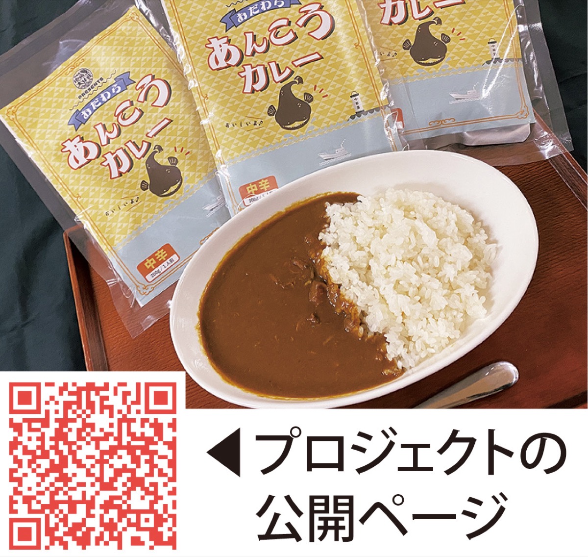 CF(クラウドファンディング)でPR (写真1)