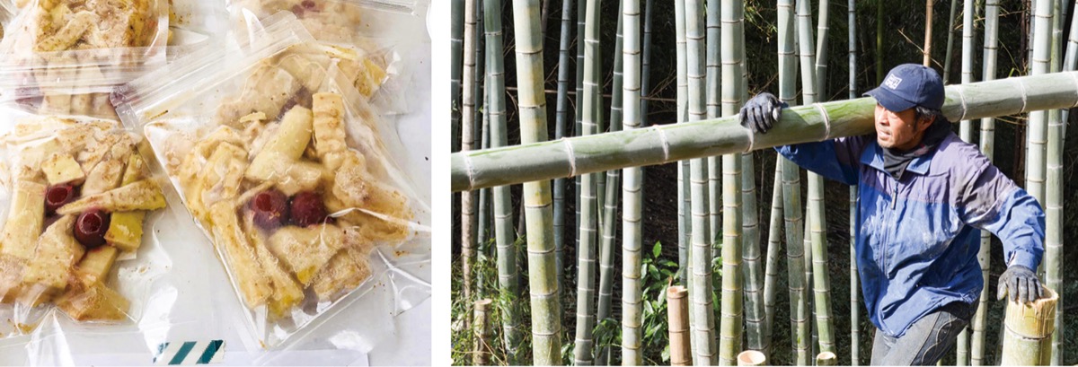 出品したメンマ（左）と間伐の風景