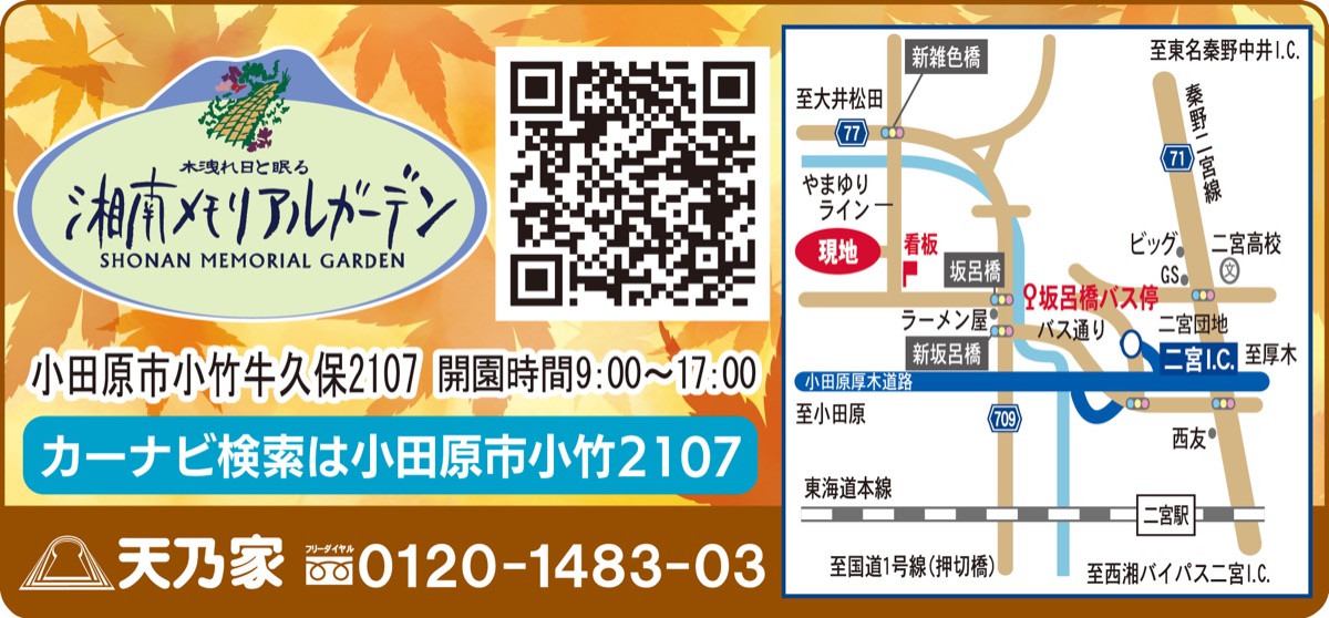 庭園墓園に初秋の訪れ (写真2)