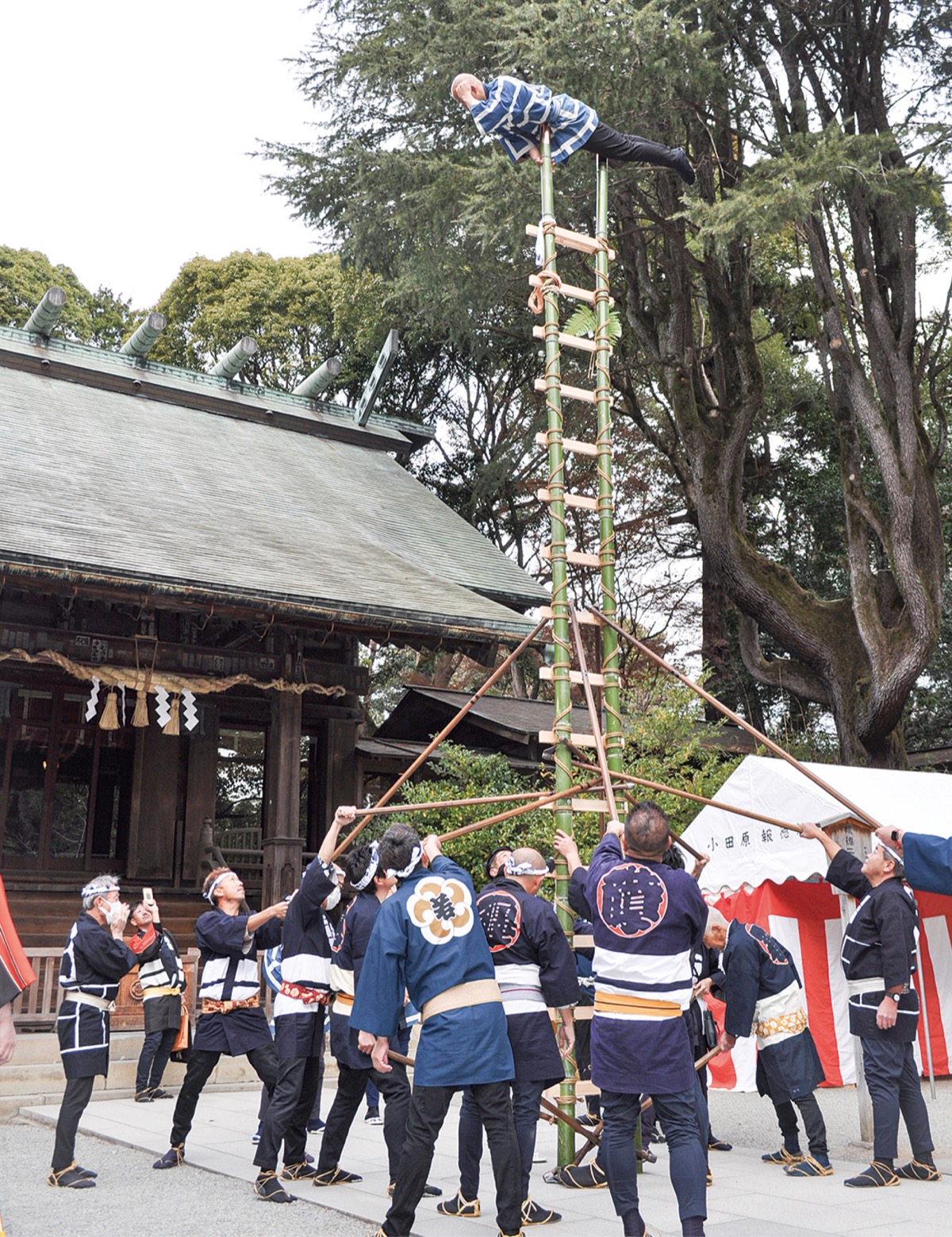 はしごの上で技を披露する田代竜貴さん(1月11日・報徳二宮神社)