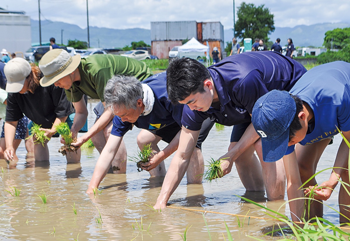 手作業で苗を植える森井選手（右から２番目）と参加者