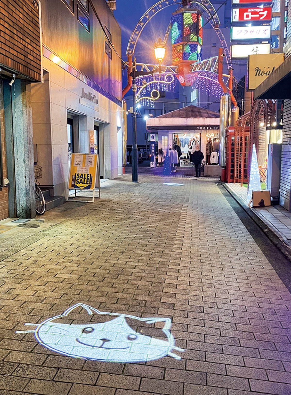 冬の夜に動物登場