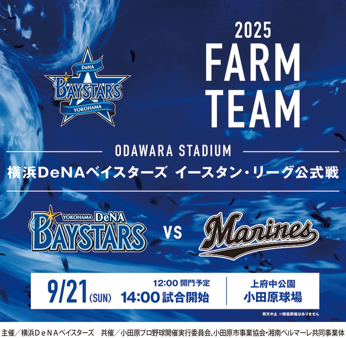 小田原でＤｅＮＡ対千葉ロッテ