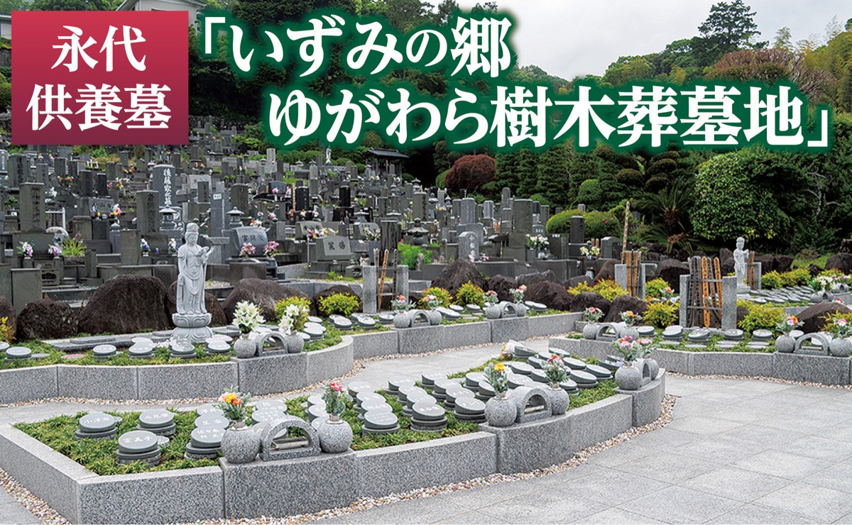 樹木葬を先着16組に特別価格で販売