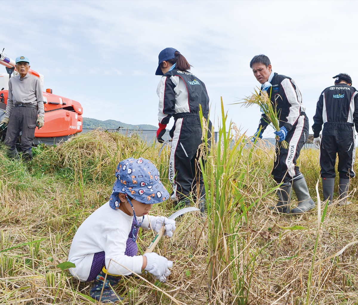 「めだか米」を収穫