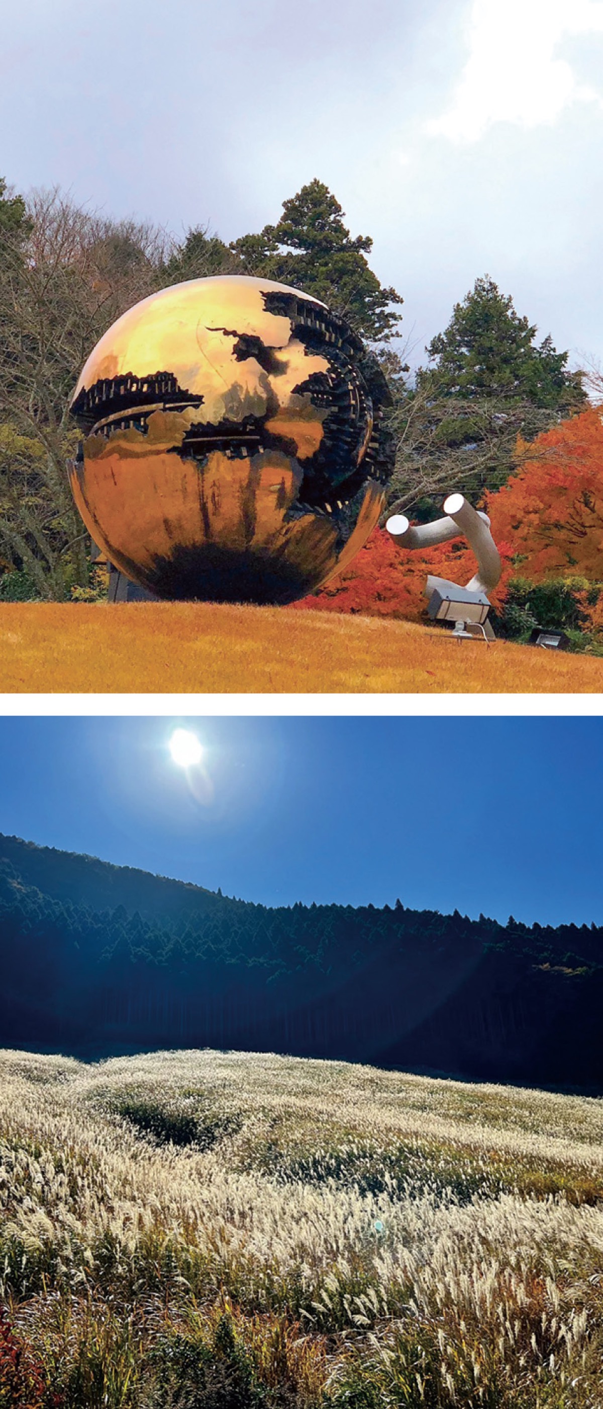 箱根の｢黄金｣体験して