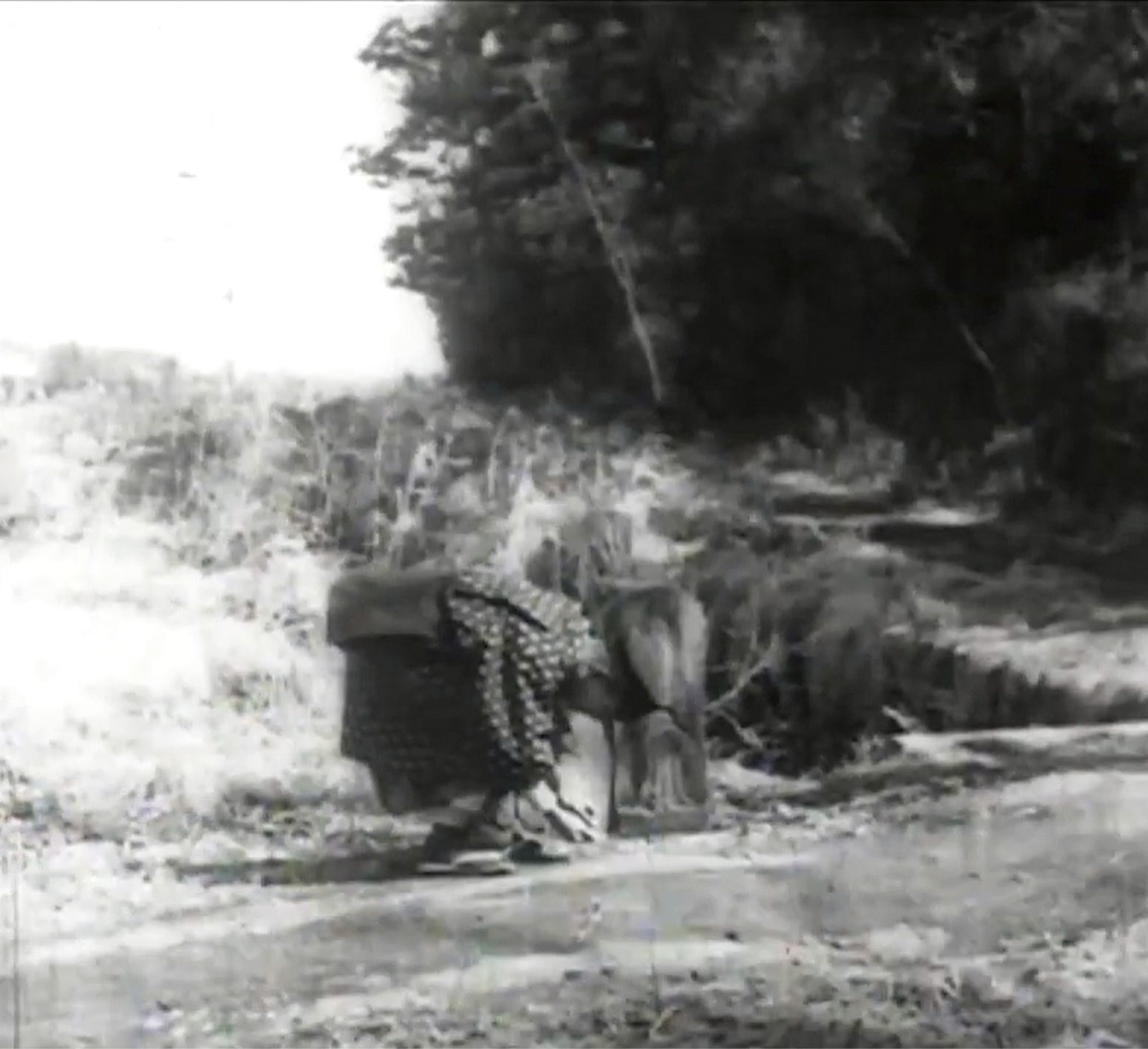 東京国際映画祭で上映