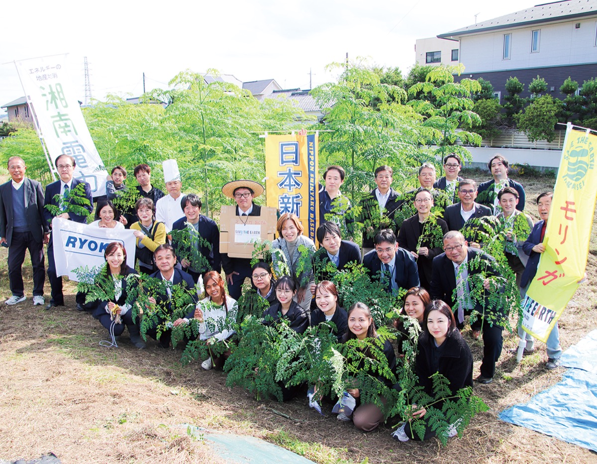開成町でモリンガ収穫