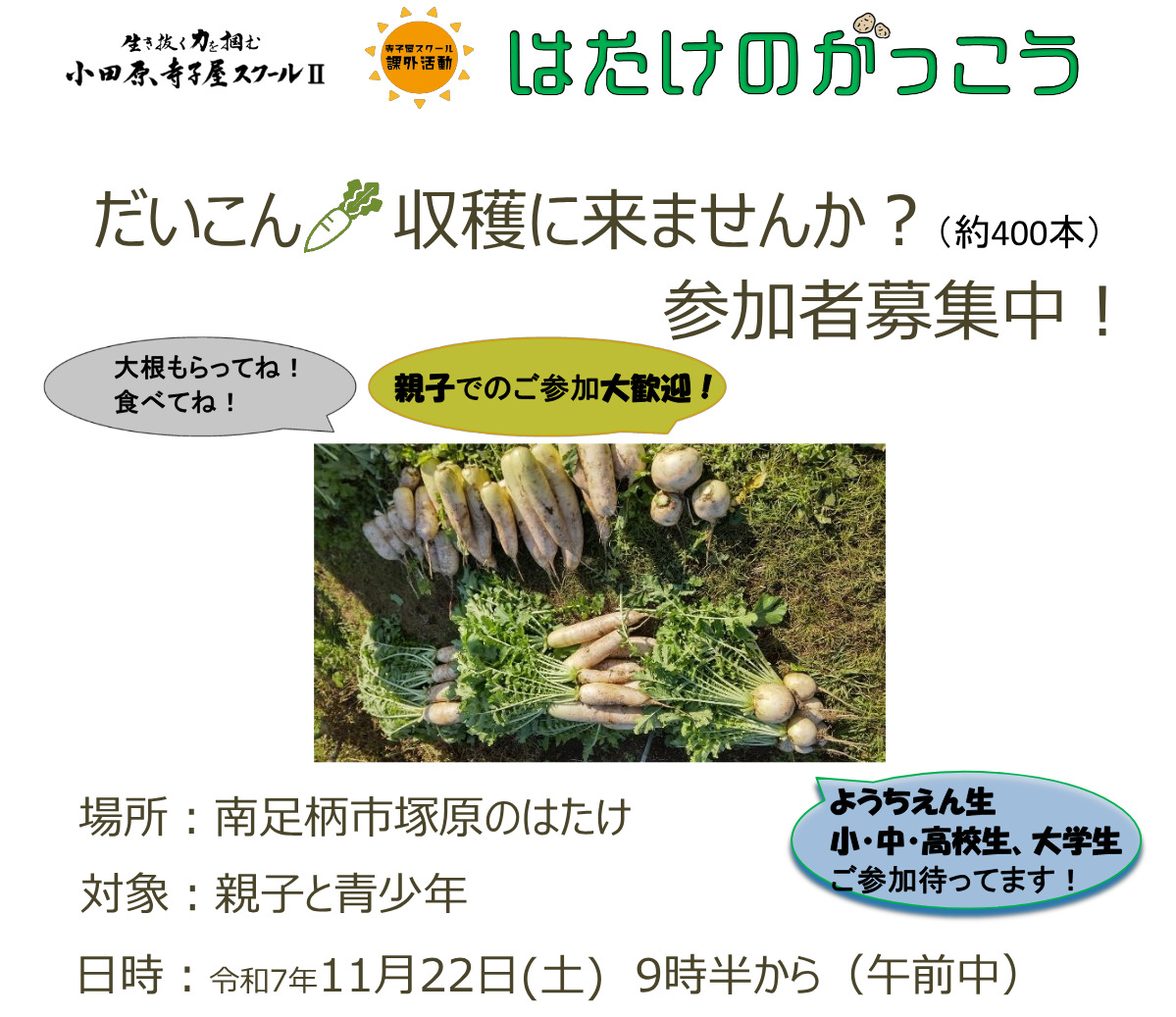 ダイコンの収穫体験