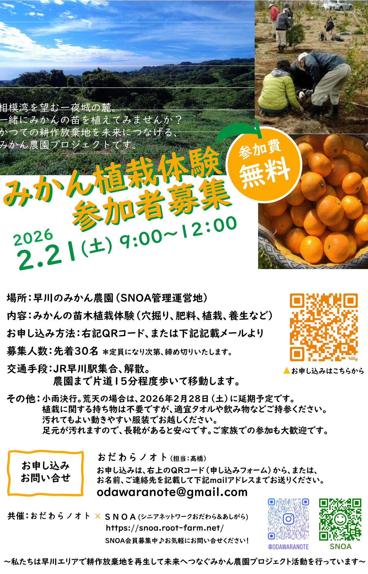 早川でミカン植栽体験