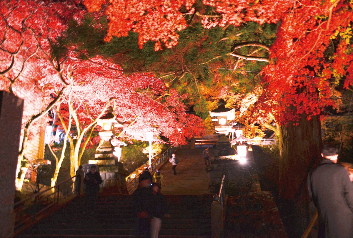 11月30日まで灯りの祭典