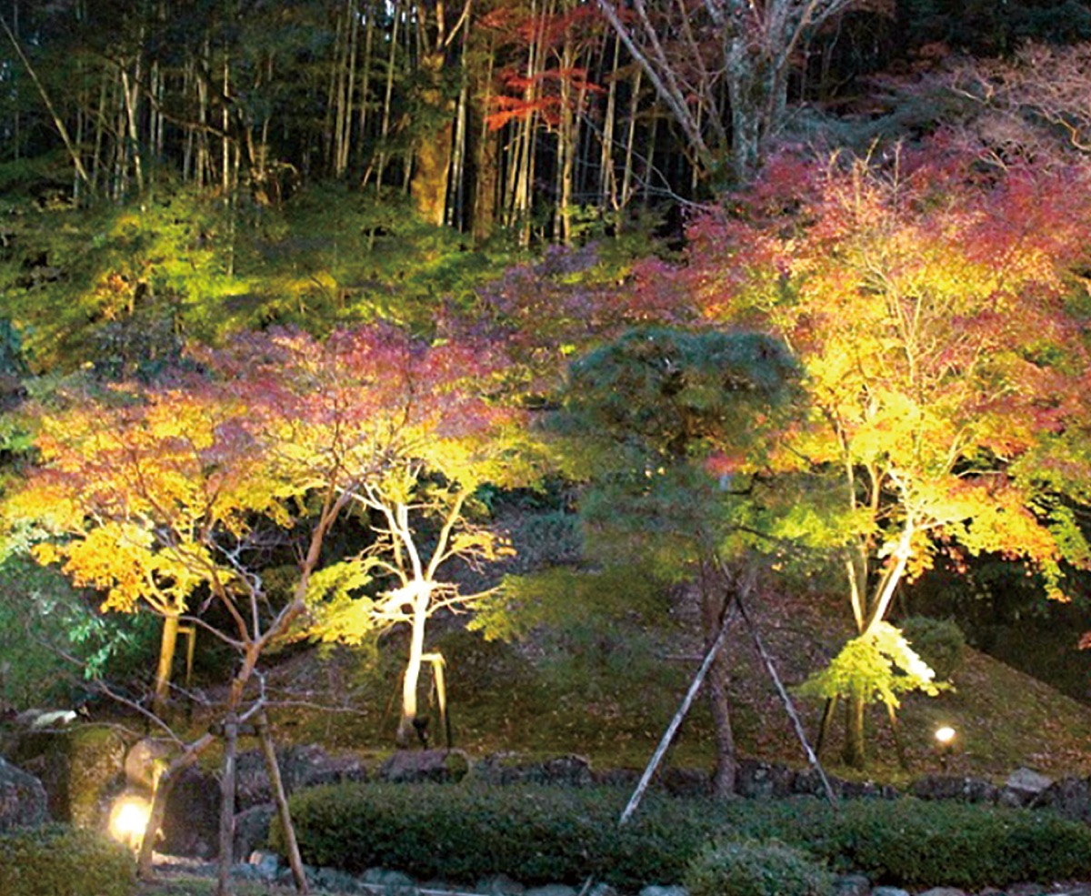 もみじライトアップと上映会